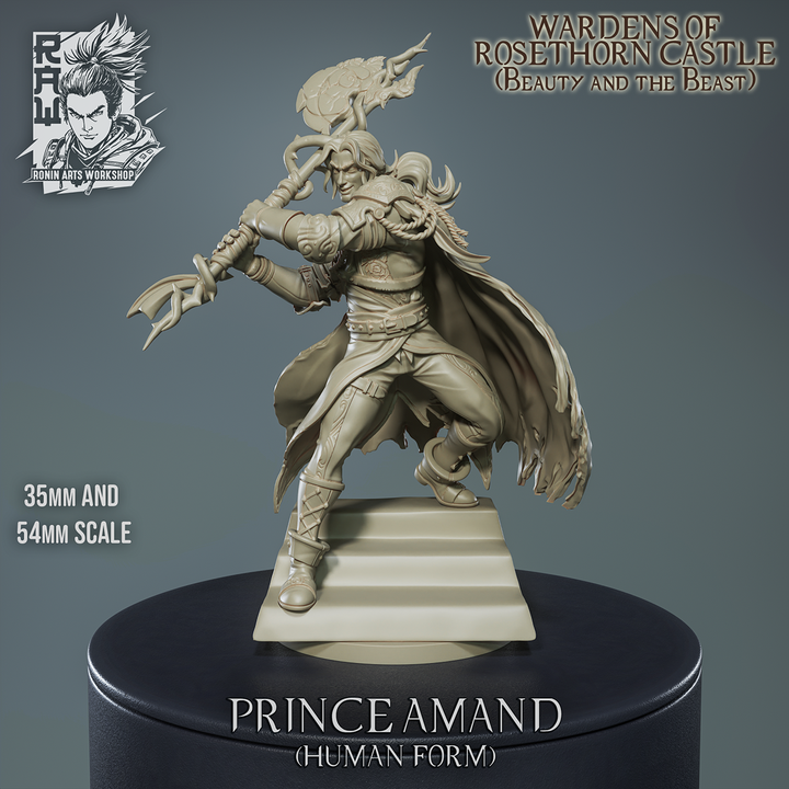 Resin Miniature - Prince Amand - Beast in Human Form - Beauty and the Beast
