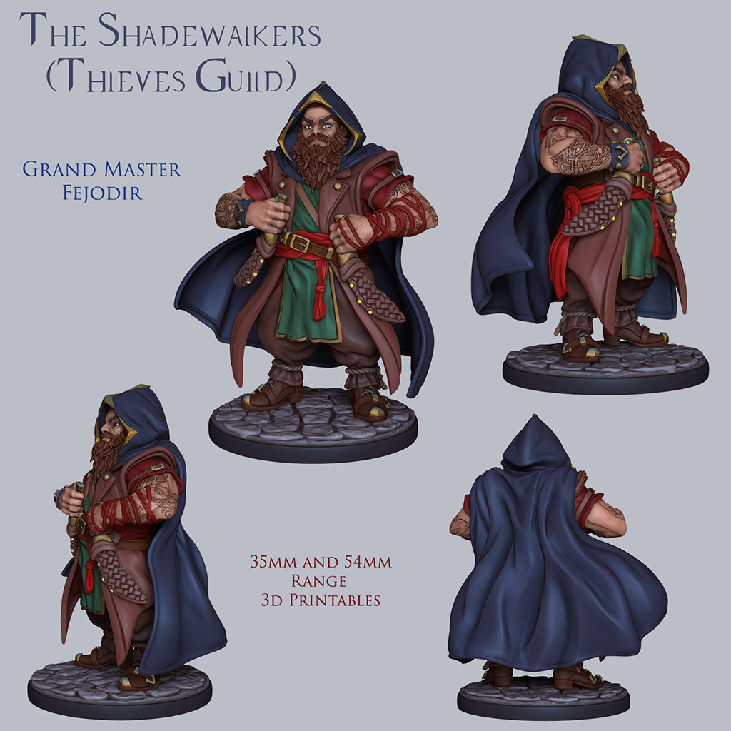 Resin Miniature - Grand Master Fejodir - dwarven thief