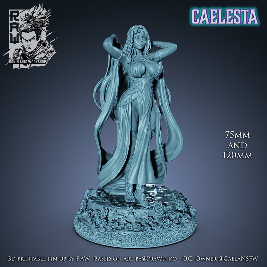Resin Miniature - Caelesta Pin-Up