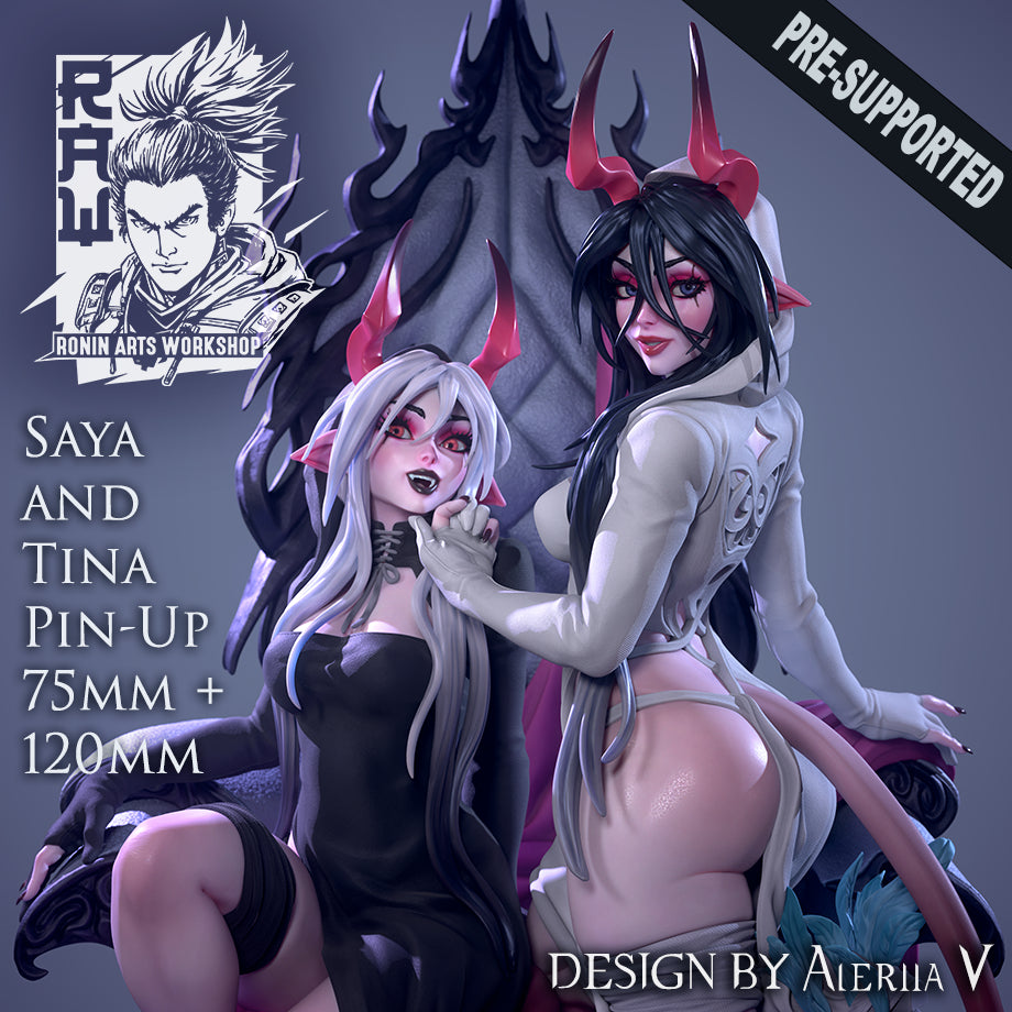 Resin Miniature - Saya and Tina double Pin Up set